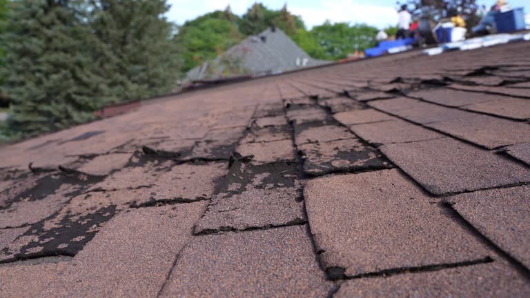 Best Roof Insulation Installation  in Cibolo, TX
