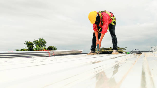 Best Asphalt Shingles Roofing  in Cibolo, TX
