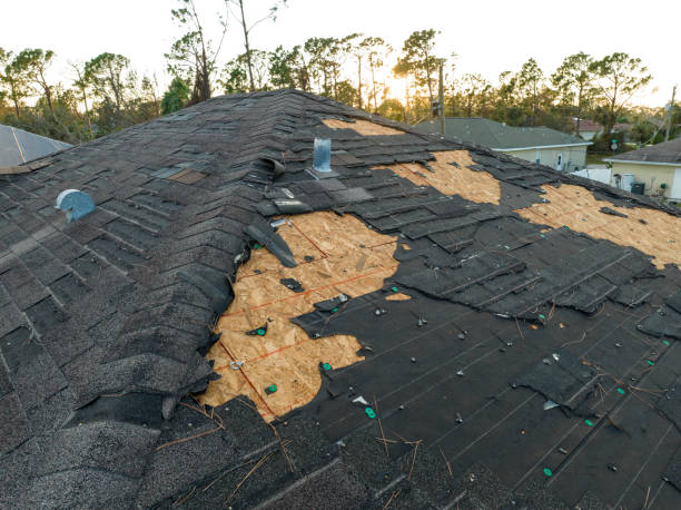 Best Slate Roofing  in Cibolo, TX